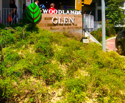 La Casa (D25), Condominium #242686921